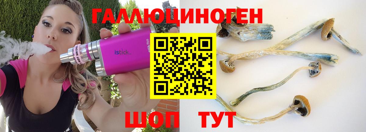 Псилоцибиновые грибы ЛСД Гусев